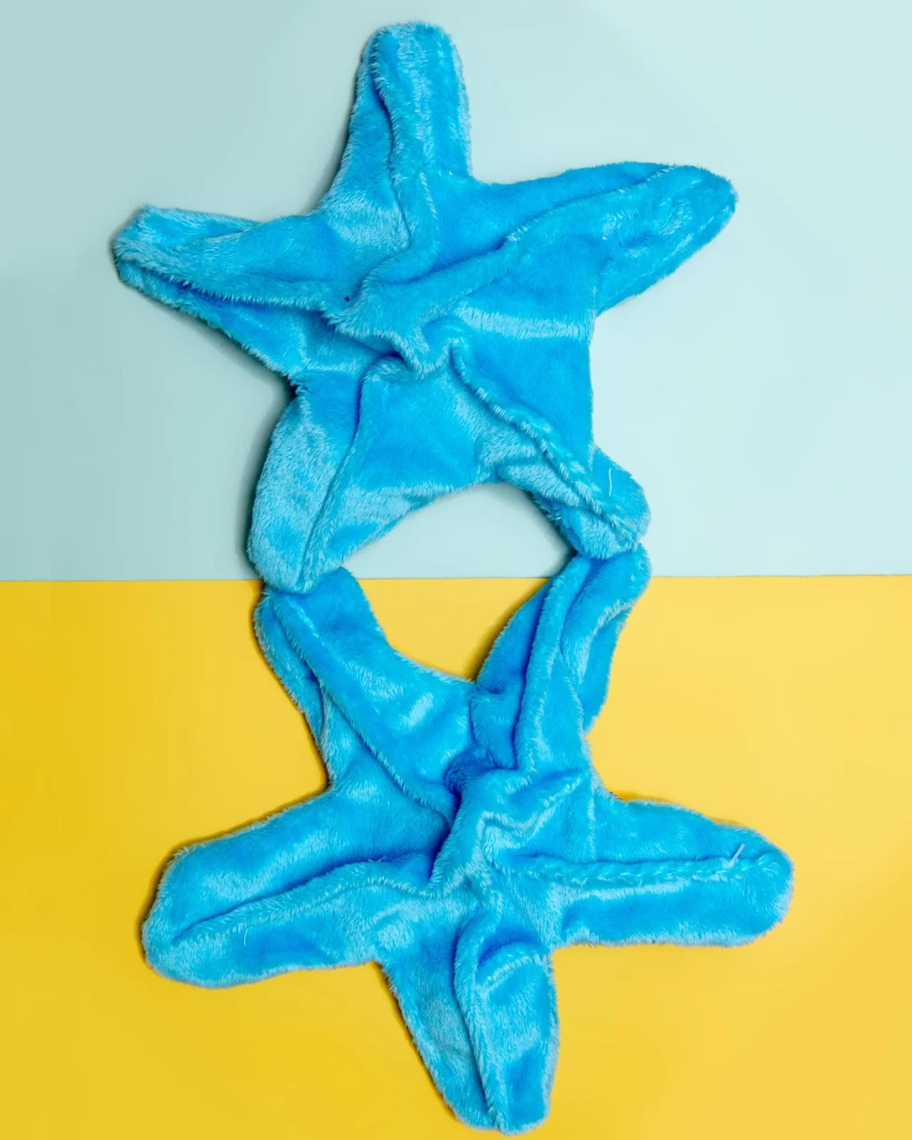 Starfish Crinkle Dog Toy (Made in the USA) (FINAL SALE) - Image 2