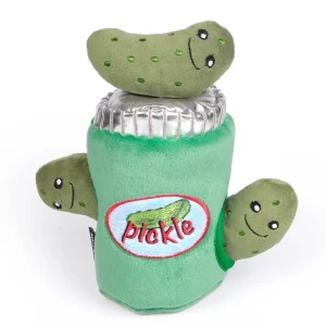 Hide & Seek Pickle Jar Dog Toy