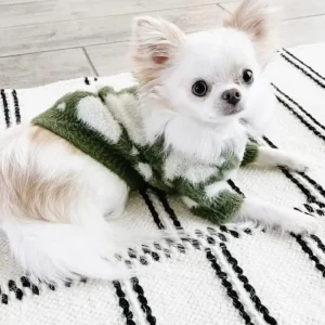 Soft Cloud Pet Sweater (FINAL SALE)