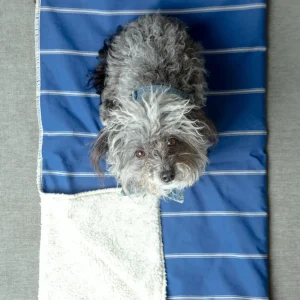 Newport Blue Stripe Blanket