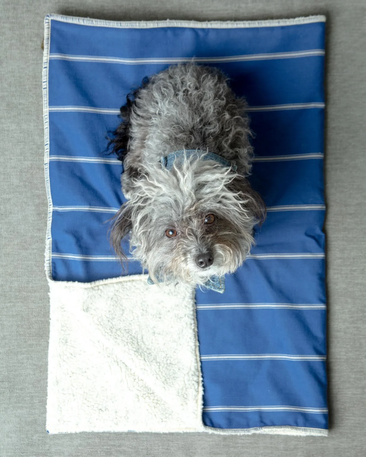 Newport Blue Stripe Blanket