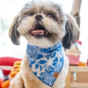 Blue Roses Spring Dog Bandana (Made in the USA) (FINAL SALE)