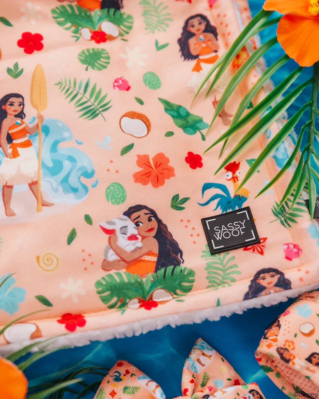 Pet Blanket - Disney's Moana