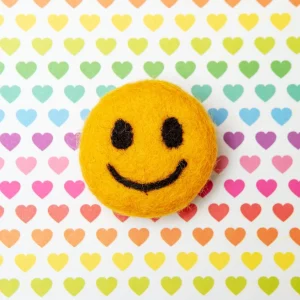 Smiley Face Collar Accessory (Made in the USA)