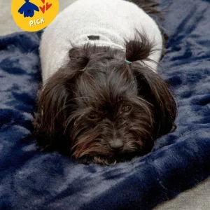 Mini Faux Fur Brady Dog Blanket in Navy