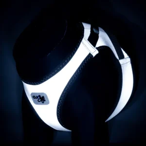 "The Glow" Vest Harness for Dogs