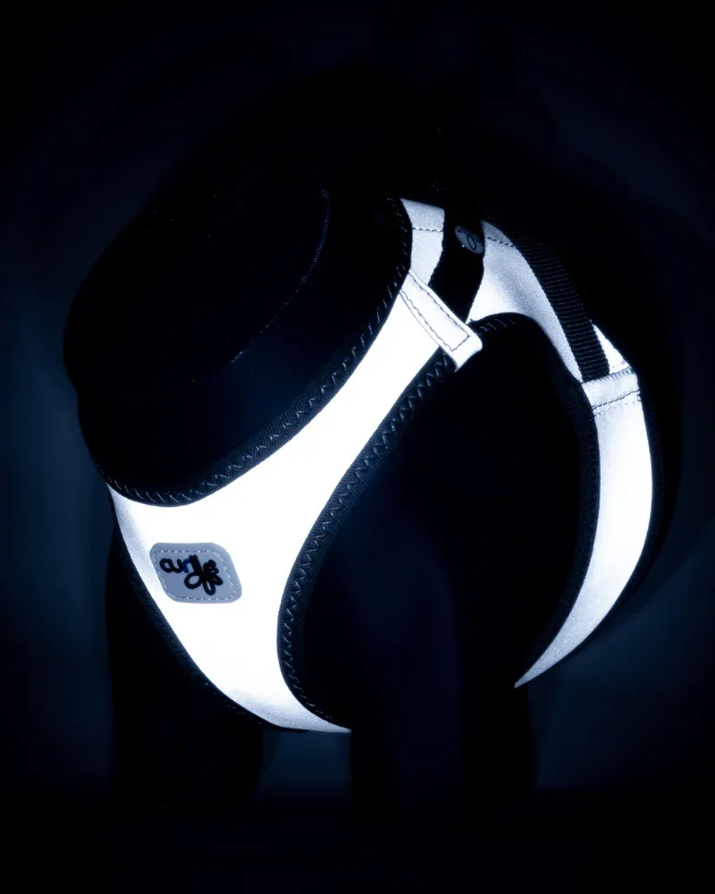 "The Glow" Vest Harness for Dogs
