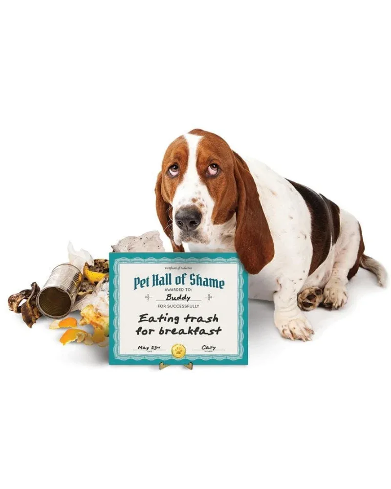 Pet Hall Of Shame Dry Erase Board(FINAL SALE)