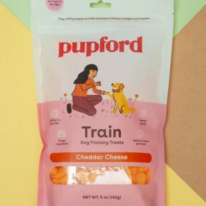 Cheddar Cheese Training Dog Treats