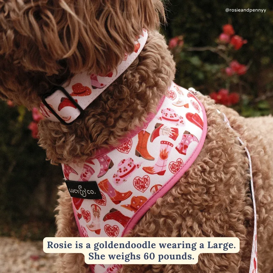 Howdy, Honey Collar - Image 2