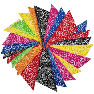 Paisley Bandanas - 60 Assorted Sizes and Patterns by Bandanas Unlimited