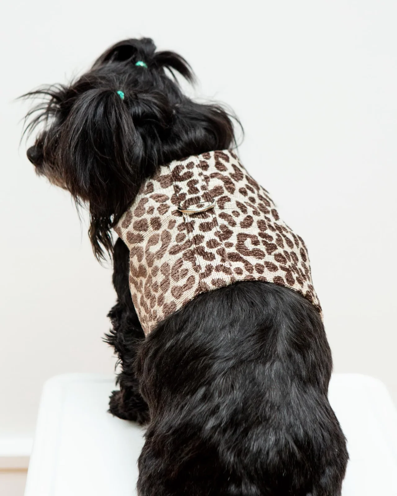 Leopard Print Dog Harness (Made in the USA) (FINAL SALE) - Image 2