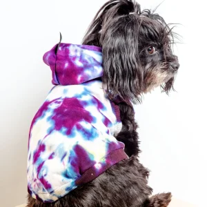 Studio Splatter Dog Sweatshirt in TV Screen (FINAL SALE)