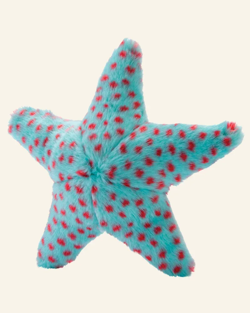 Ally The Starfish Crinkle Plush Dog Toy (FINAL SALE) - Image 2
