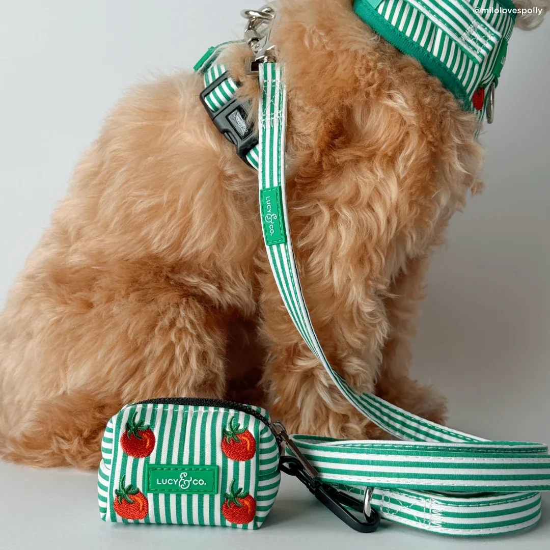 Tomato, Tomahto Embroidered Poop Bag Holder - Image 2