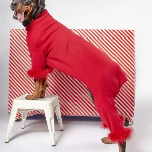 Holiday Glitz Feather Dog Onesie (FINAL SALE)