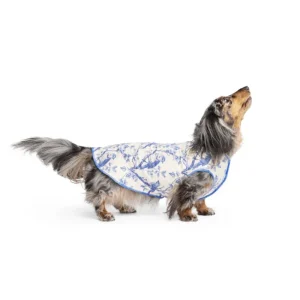 Sun Shield Tee in Blue Bird Toile