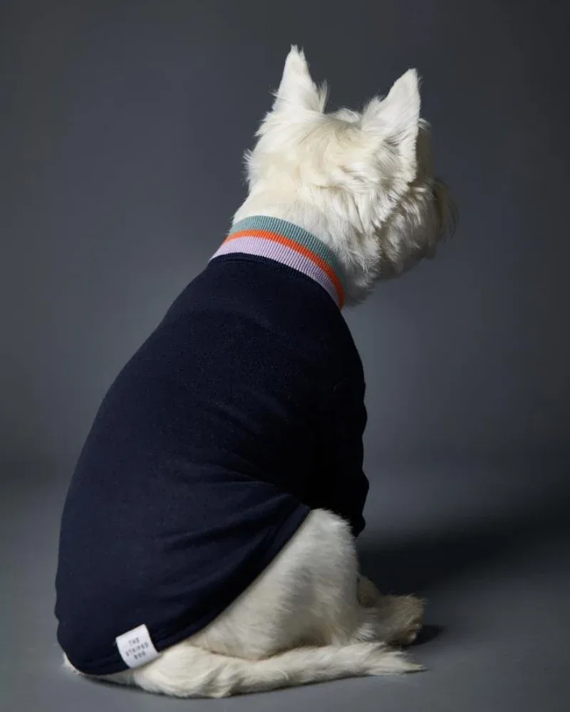 Lakewood Navy Pullover Dog Sweater With Striped Neckline & Cuffs (CLEARANCE) - Image 2