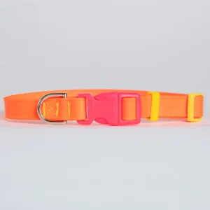 A Walk in the Park Dog Collar in Neon Orange (Made in the USA)