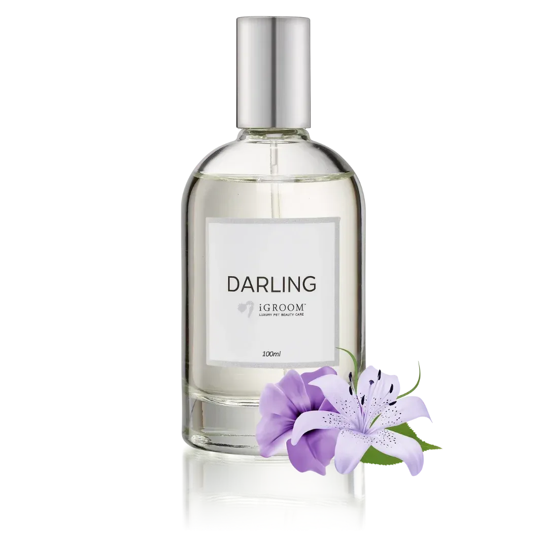 Darling Perfume 100ml by iGroom - Image 2