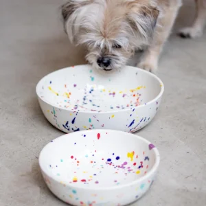 Ceramic Pet Bowl in Confetti (Made in the USA)