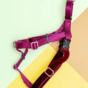 Freedom No-Pull Harness in Burgundy (Made in the USA)