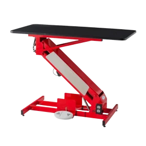 MasterLift LowRider Electric Grooming Table by Petlift