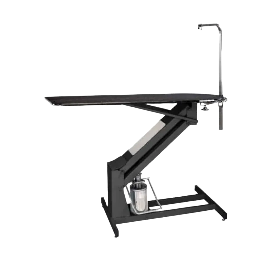 MasterLift Hydraulic Grooming Table with Rotating Post by PetLift