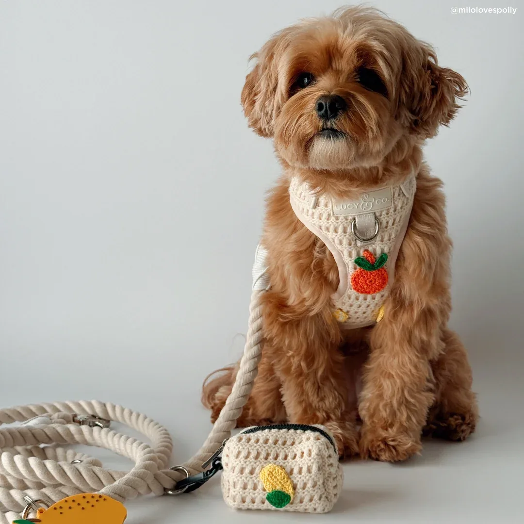 Main Squeeze Hands-Free Rope Leash - Image 2