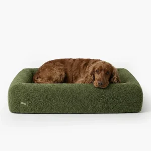 Premium Orthopedic Memory Foam Dog Bed - Green Bouclé (Large) (LP)