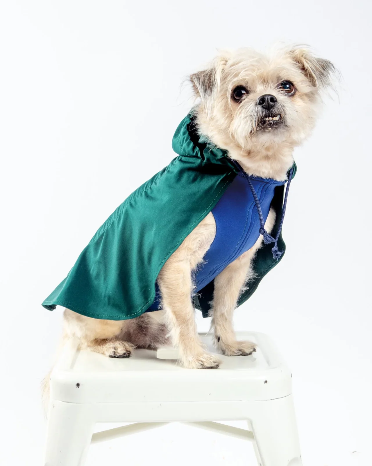 Action Jacket Pull-On Raincoat in Hunter Green & Navy (Made in NYC) - Image 2