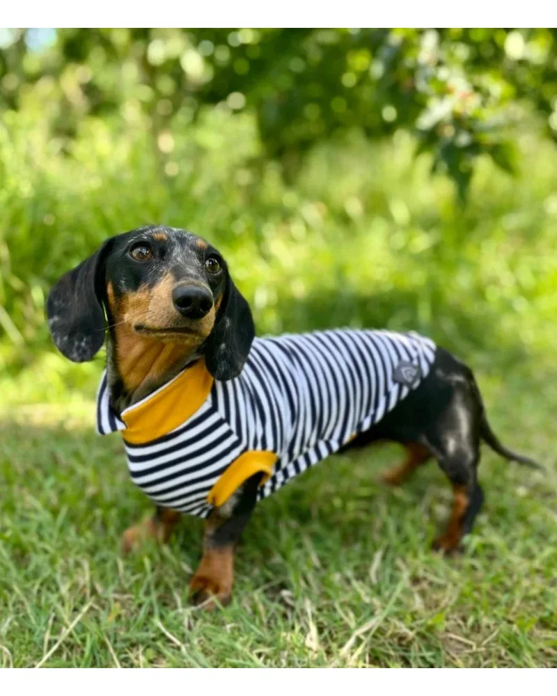 Dachshund Dog T-Shirt (Egg or Stripe) (Made in the UK) (FINAL SALE) - Image 2