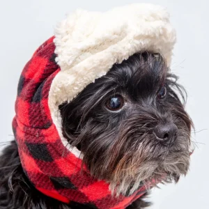 Flannel & Fleece Aviator Dog Hat in Buffalo Plaid (CLEARANCE)