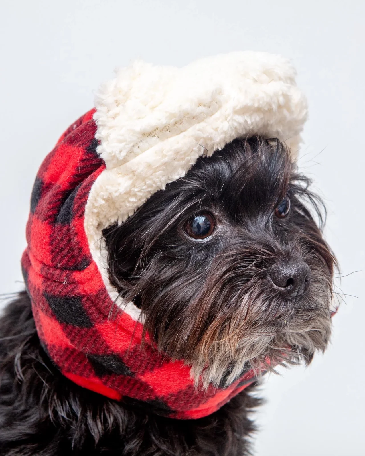 Flannel & Fleece Aviator Dog Hat in Buffalo Plaid (CLEARANCE)