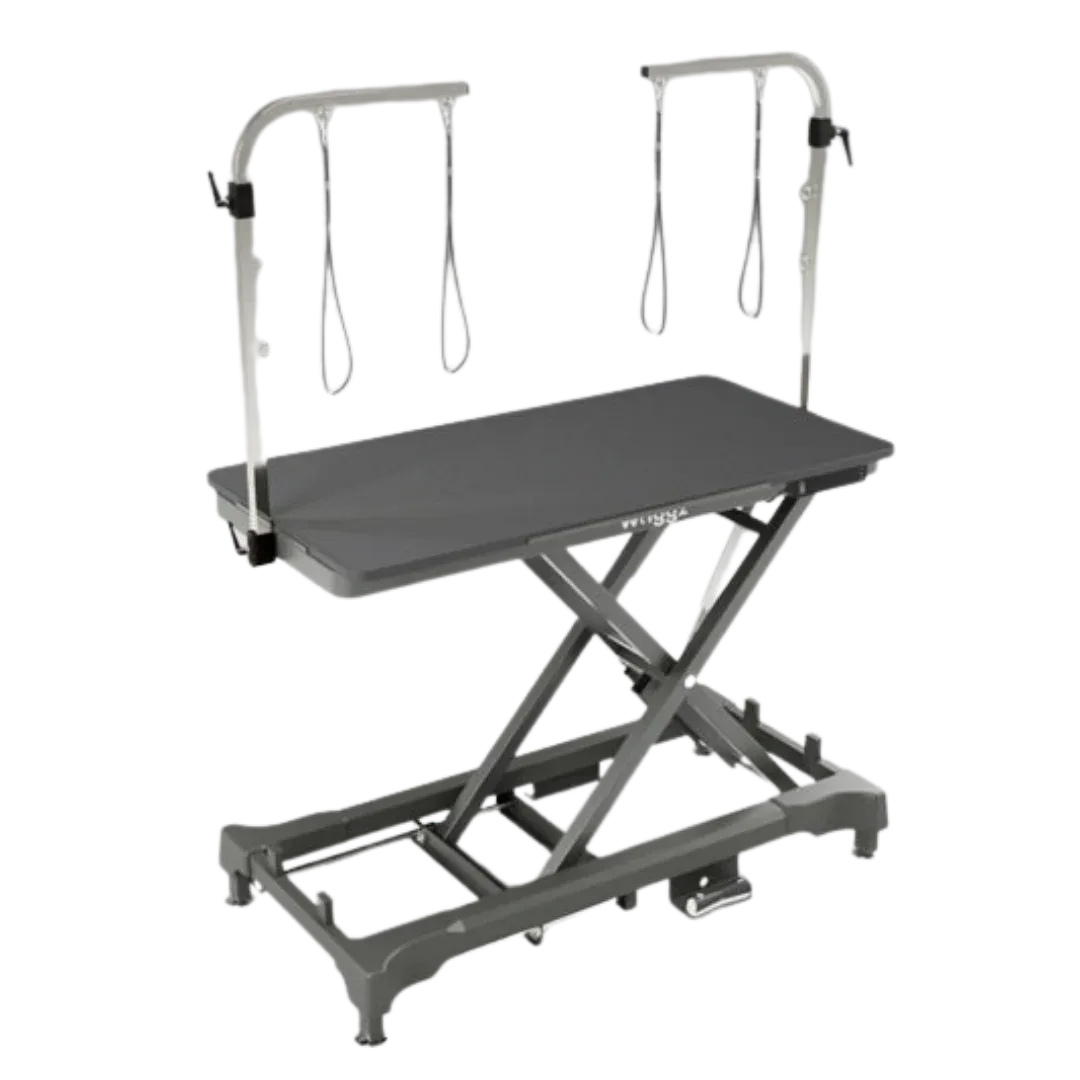 Pre-Order 52" Dog Grooming 999 Electric Table without Drawer Black by Waggz