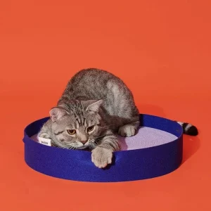 Colorful Round Cat Scratcher
