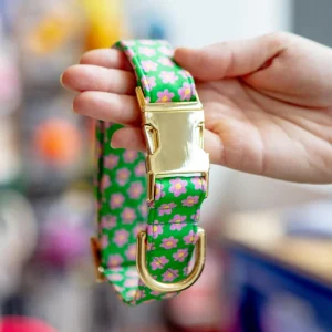 Flower Power Dog Collar (Made in the USA)