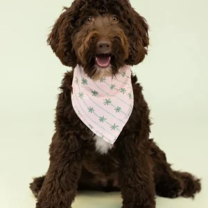 Palm Beach Dog Bandana (Made in the USA)