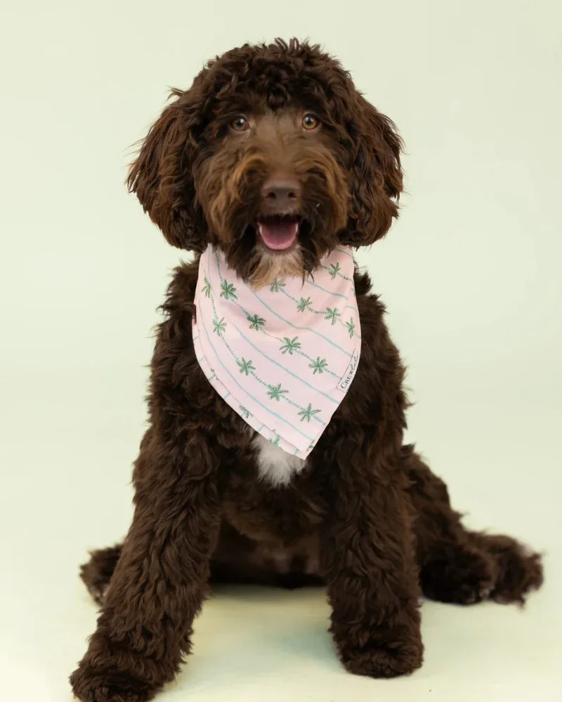 Palm Beach Dog Bandana (Made in the USA)