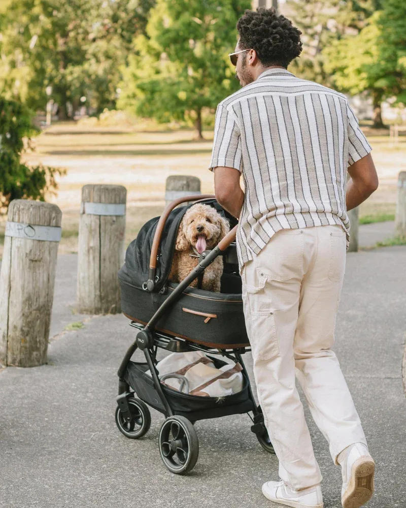 Maeve™ + Roscoe™ 3-in-1 Pet Stroller & Car Seat (Direct-Ship) - Image 2