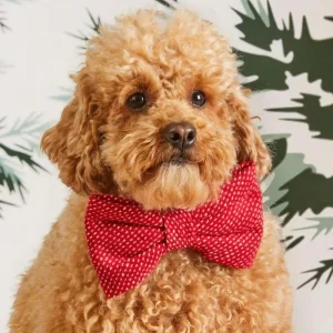Berry Stitch Dog Bow Tie (Made in the USA)