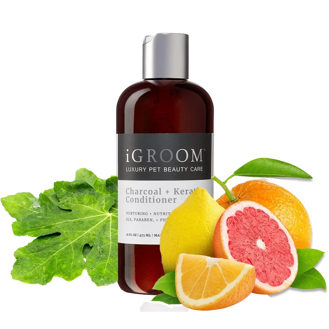 Charcoal and Keratin Shampoo 16oz by iGroom - Image 2