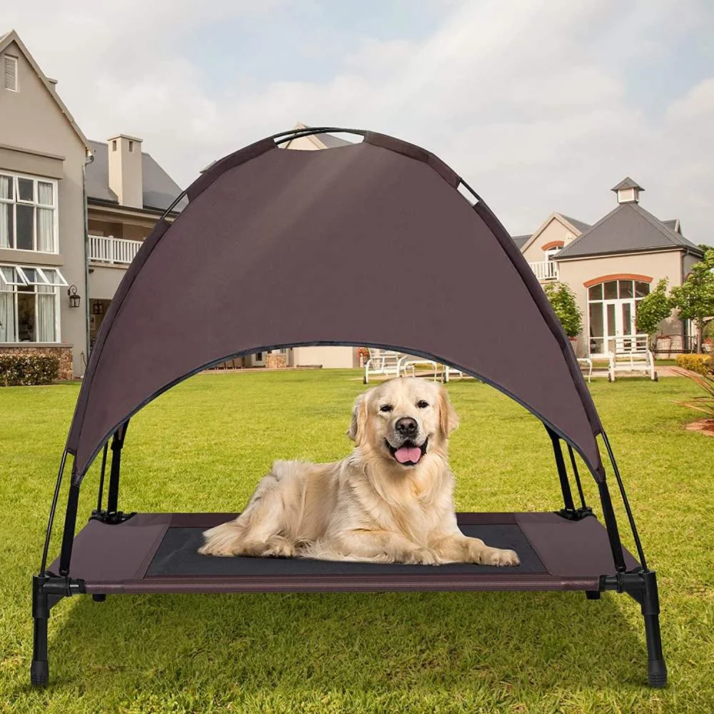 Elevated Bed with Canopy - Image 2