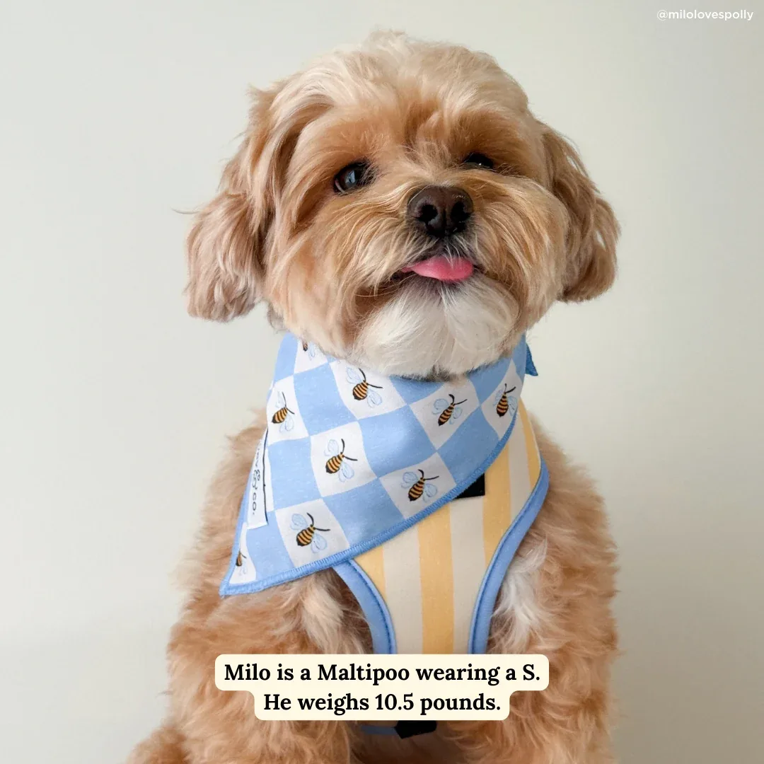 Bumbling Around Bandana - Image 2