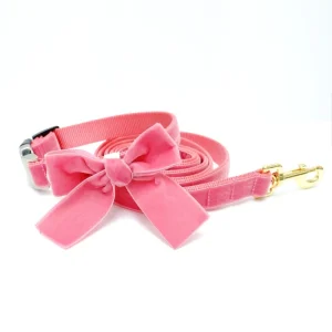 Velvet Dog Bow Collar & Leash Set in Primrose Pink