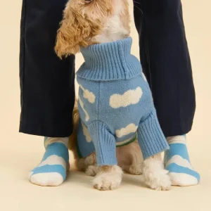 Silver Linings Sweater Matching Human Socks