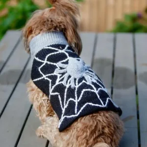 Spooky Spider Handknit Dog Sweater