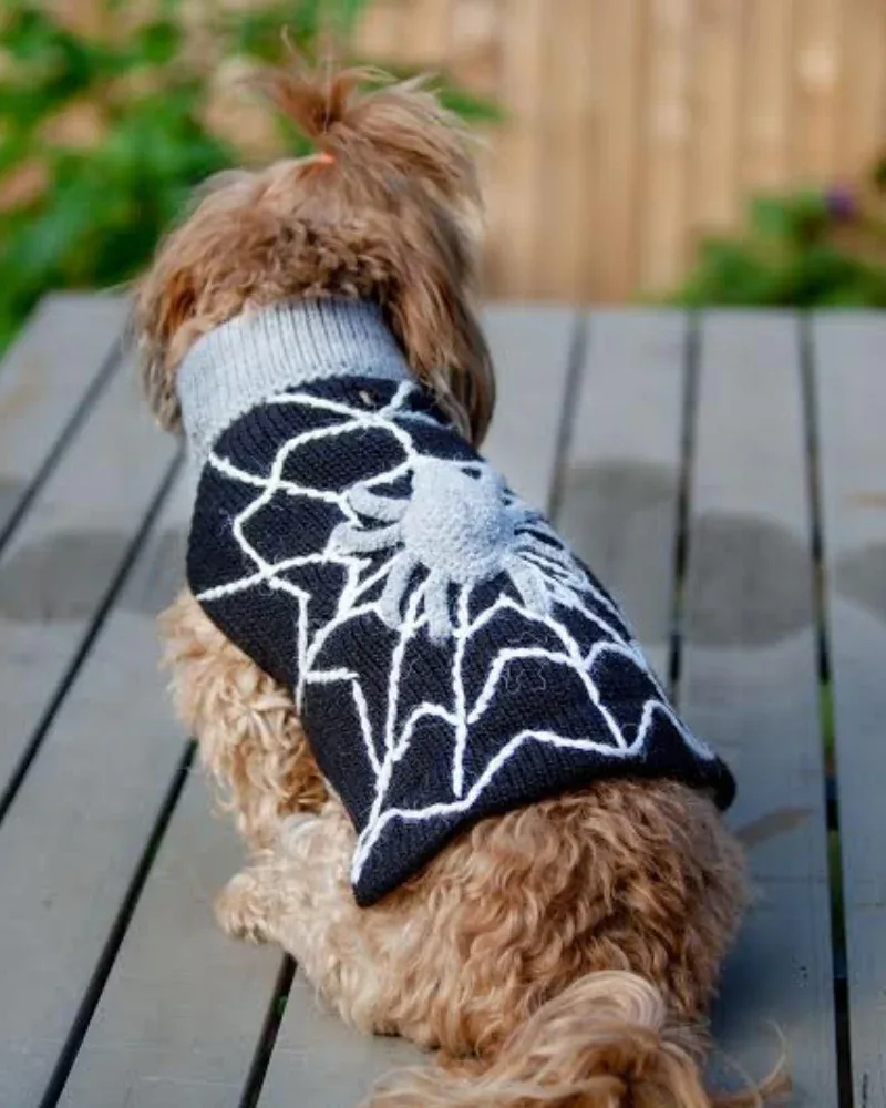Spooky Spider Handknit Dog Sweater