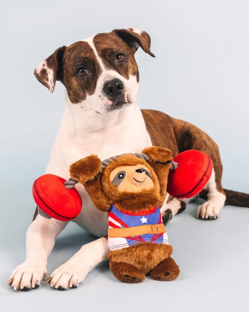 Hustle For That Muscle Speaky Plush Dog Toy (FINAL SALE) - Image 2