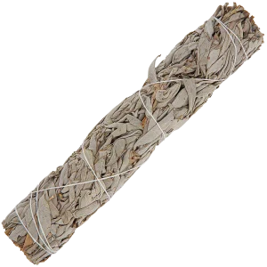 9" Large California White Sage Smudge